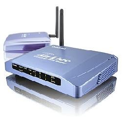 Ovislink corp WL-1000R Router Image